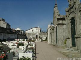 Fotografia 010