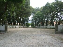 Fotografia 009