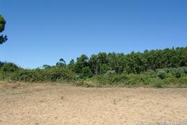 Fotografia do local e imediações