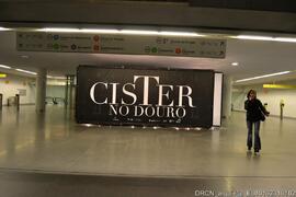 Fotografia 019