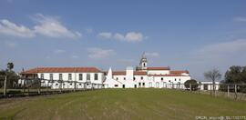 Fotografia 005
