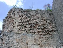Fotografia 028