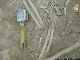 Sondagens  arqueológicas