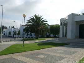 Fotografia 008