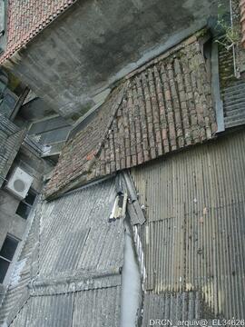 Fotografia 025