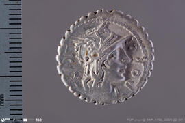 Denarius