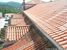 Fotografia 029