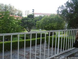 Imediações / Área envolvente