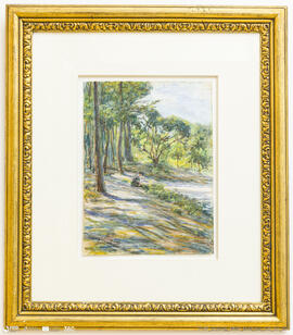 O Pinhal do Parque das Caldas da Rainha