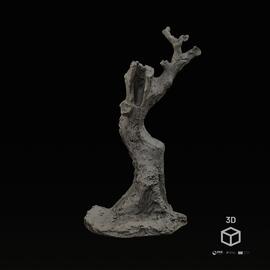 Paixão de Cristo: Tronco de Oliveira (do conjunto Jesus no Horto)