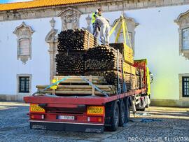 Fotografia 003