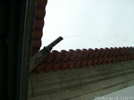 Fotografia 008