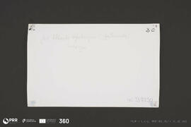 Campanha pelo Norte de Humberto Delgado