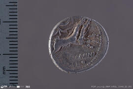 Denarius
