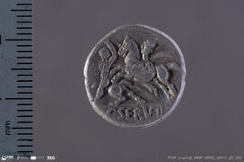 Denarius