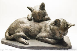 Gatos