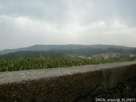Fotografia 017