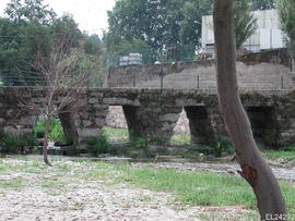 Fotografia 003