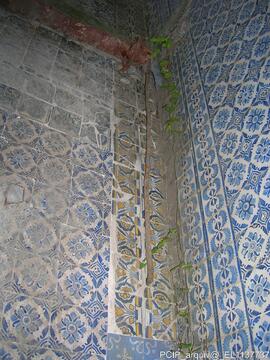 Fotografia 004