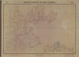 Perímetro Florestal -  Planta Aerofotogramétrica (1954-07)