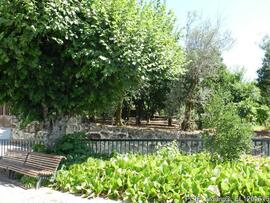 Imediações / área envolvente