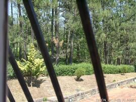 Fotografia 006
