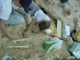 Sondagens  arqueológicas