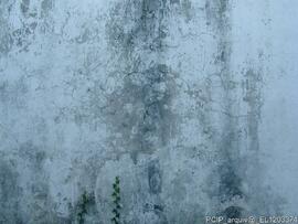 Fotografia (exterior)