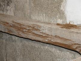 Órgão - pormenor estrutura - ataque térmita - restauro MDF