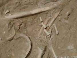 Sondagens  arqueológicas