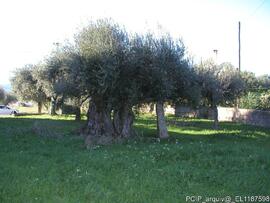 Fotografia interior, exterior e areas envolventes