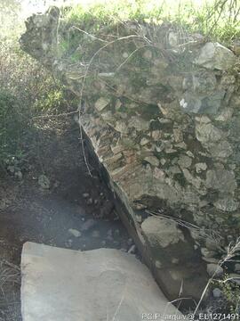 Fotografia 003