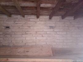 Fotografia da intervencao de conservacao e restauro