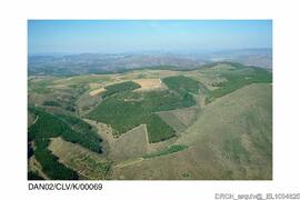 Fotografia 008