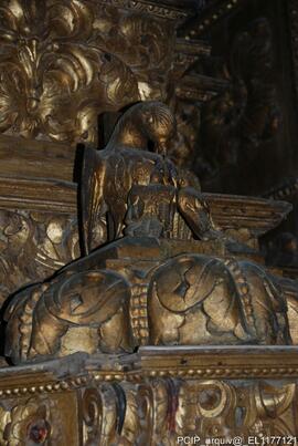 Fotografia (interior)