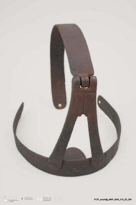 Freio das maldizentes