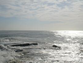 Fotografia 012