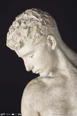 Narciso