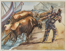 Bois puxando os barcos