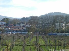 Fotografia 006