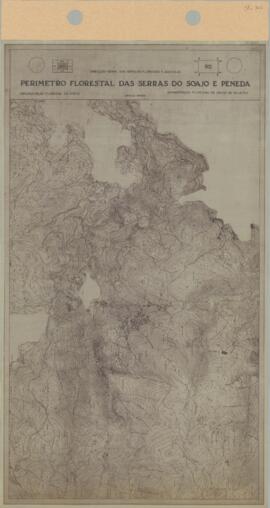 Perímetro Florestal - 8D [s.d.]