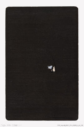 Álbum de fotografias da Kermesse de 1884