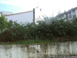 Fotografia: exterior