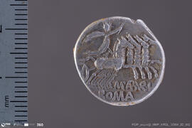 Denarius