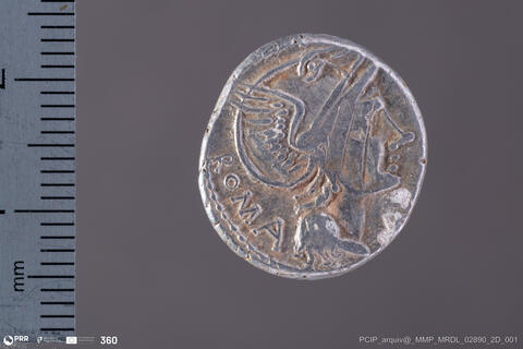 Open original Objeto digital