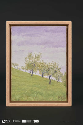 Amendoeiras nos Barrais