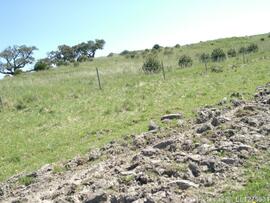 Fotografia 006