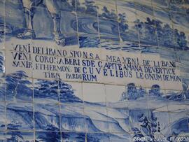 Fotografia 008