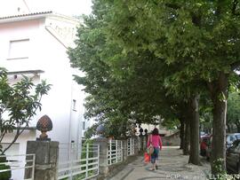 Imediações / Área envolvente