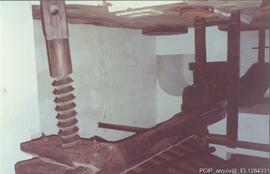 Fotografia 002